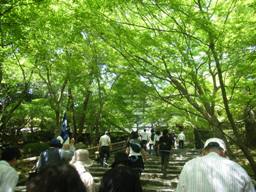 kyoto 060504 162s.jpg