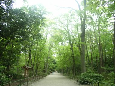 kyoto 060504 256s.jpg