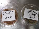 miso.jpg