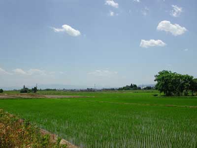 nagai2.jpg