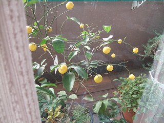 s-2007_0120iroiro0005.jpg