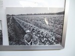 s-2007_0323sagamihara0011.jpg