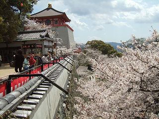 s-2007_0404takakura0046.jpg