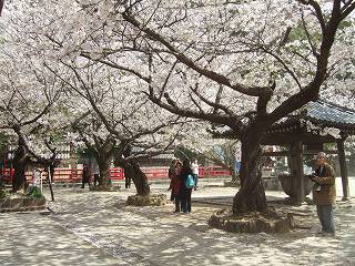 s-2007_0404takakura0092.jpg
