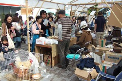 s-2007_0423Earthday0031.jpg