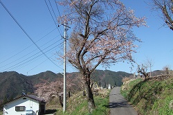 s-2007_0429katakata0068.jpg