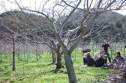 s-2007_0429katakata0082.jpg