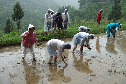 s-2007_0521ehime0054.jpg