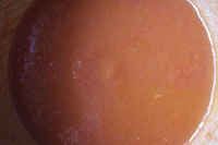 s-2007_0726tomato0005.jpg