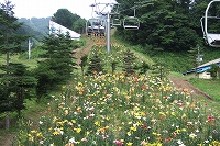s-2007_0730gunmaforum0033.jpg