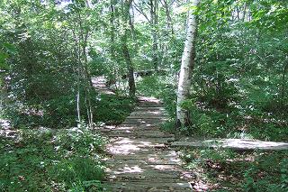s-2007_0904yatugatake0093.jpg