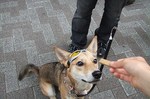 s-2007_0924asaichi0709230026.jpg