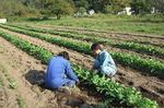 s-2007_1003ichinoseki0076.jpg