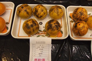 s-2007_1105toyama0029.jpg