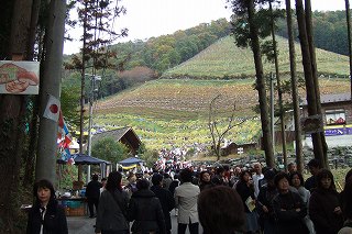 s-2007_1117cocofarm0003.jpg
