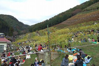 s-2007_1117cocofarm0046.jpg