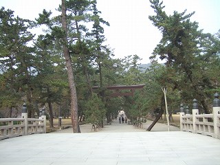 s-2008_0108izumo0029.jpg