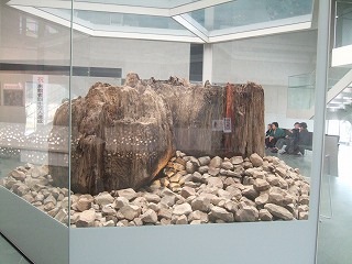 s-2008_0108izumo0056.jpg