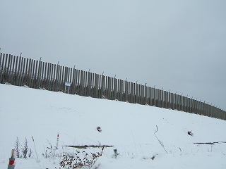 s-DSCF4648.jpg