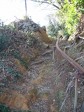 s-DSCF5559.jpg