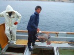 s-DSCF7700.jpg