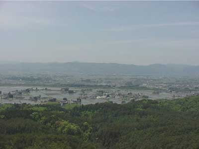 shiwashiwa8.jpg