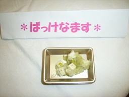 shokubun_miz 018s.jpg