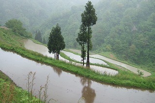s-2007_0521ehime0045.jpg