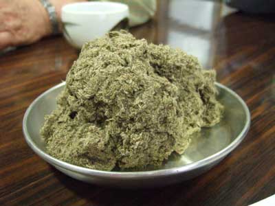 yamabudo.jpg